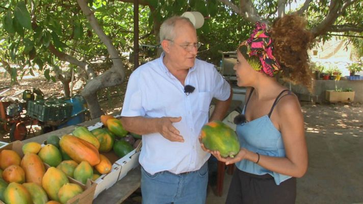 Aquí la Tierra - ¡A comer papayas!