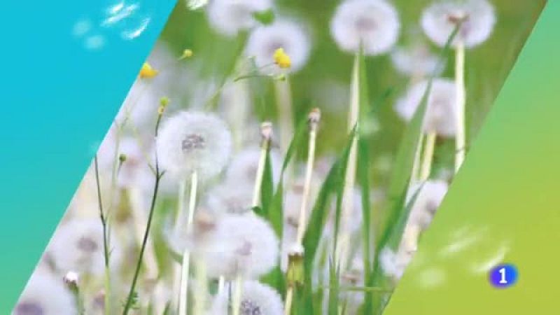 El tiempo en Galicia - 19/07/19