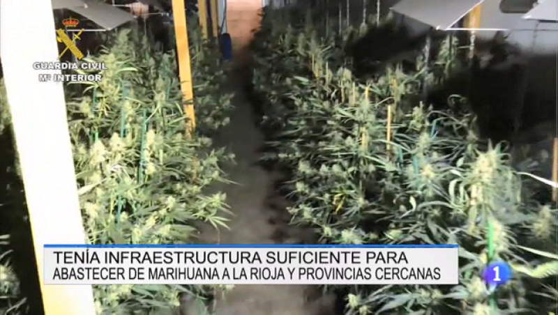 Informativo Telerioja - 19/07/19