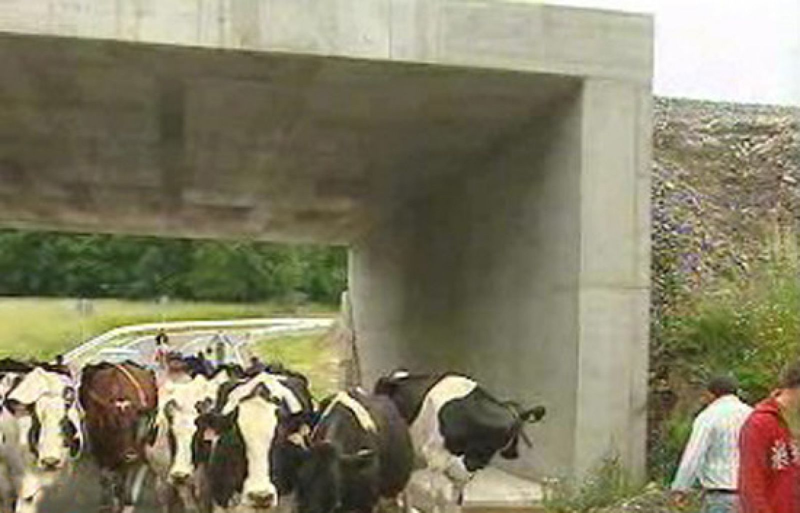 España Directo - Divididos por una vía | Ver