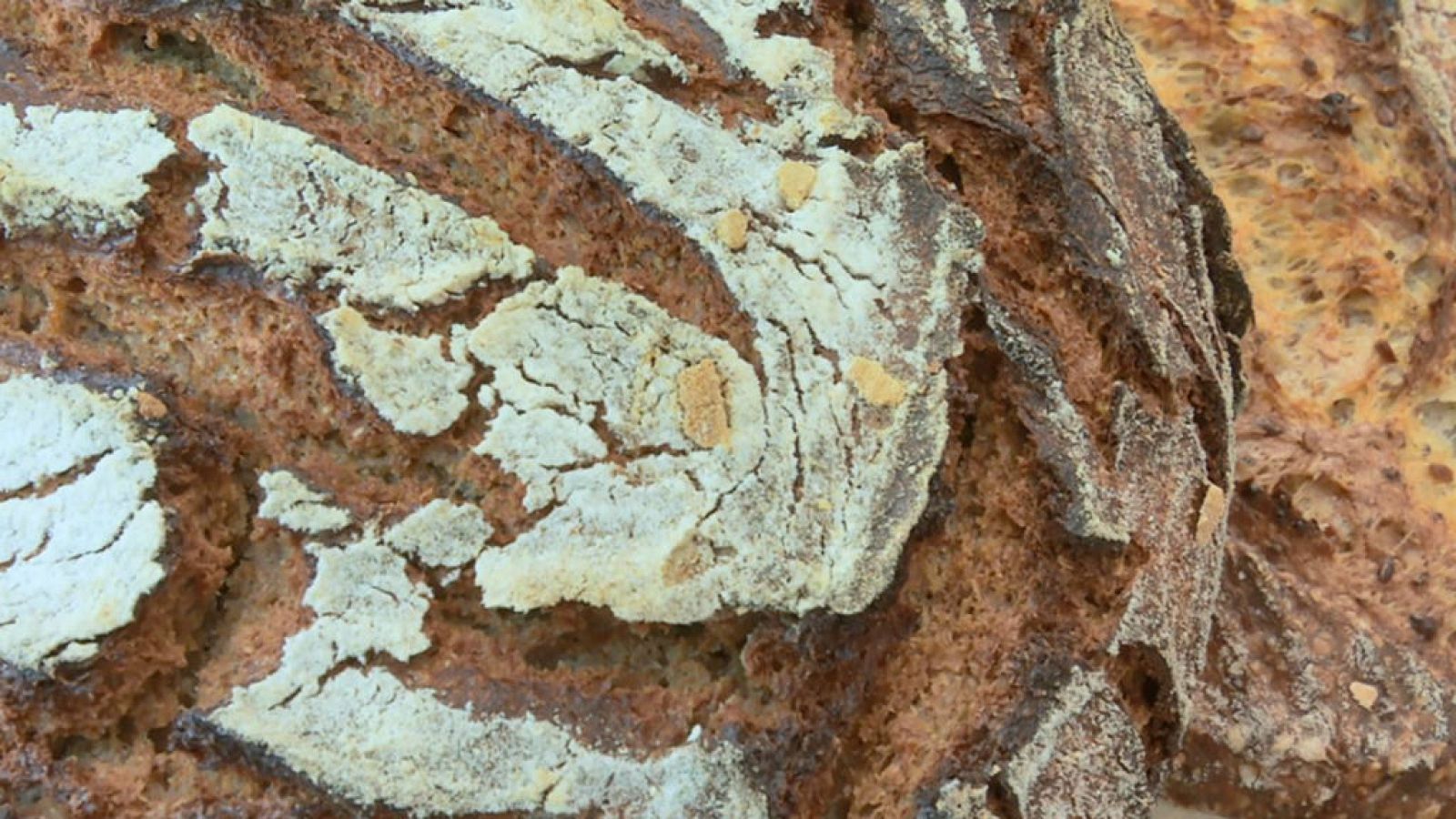 Un pan "miga de oro"