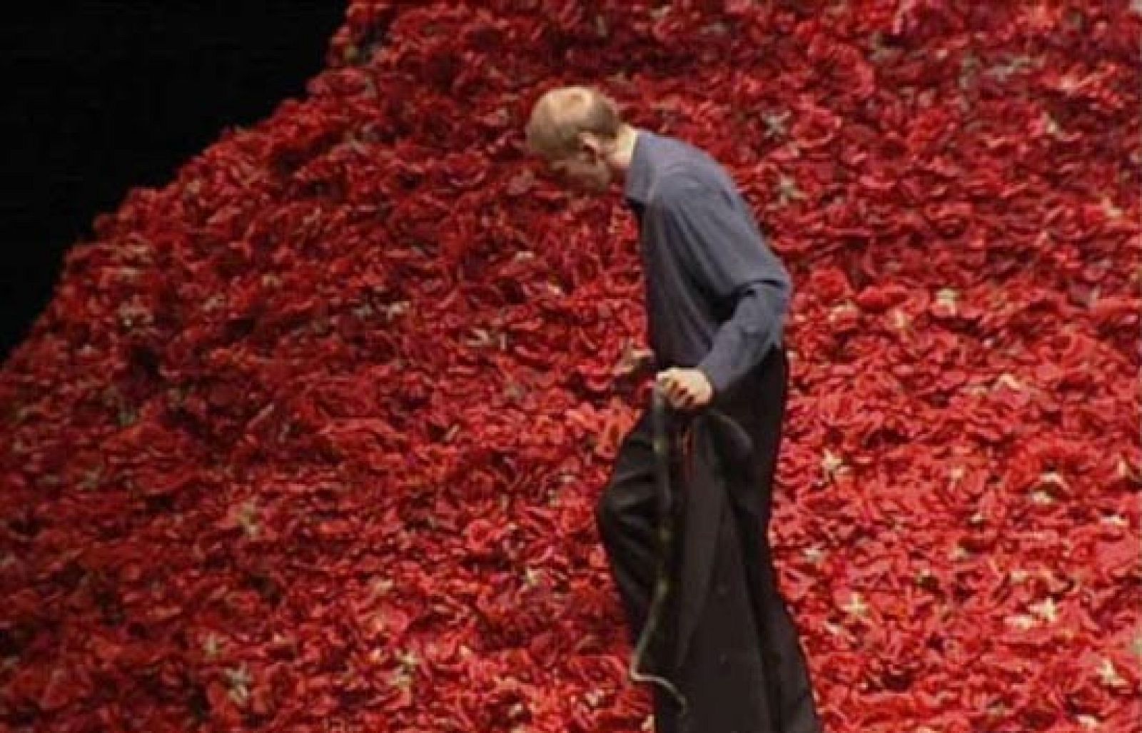 La coreógrafa alemana Pina Bausch ha muerto a los 68 años de edad | Ver
