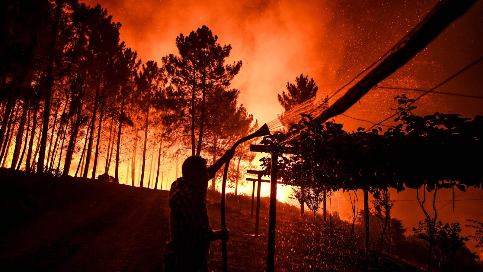 Más de 1.500 efectivos luchan contra las llamas en el centro de Portugal