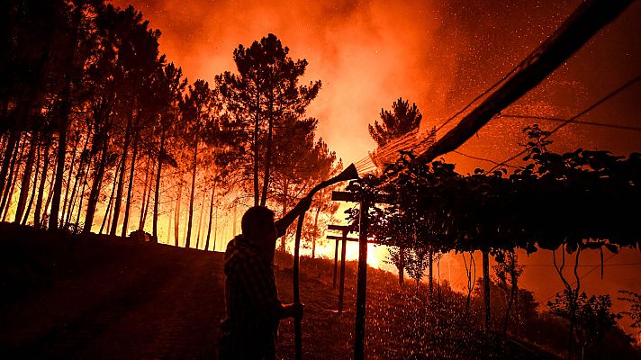 Telediario 1 - Más de 1.500 efectivos luchan contra las llamas en el centro de Portugal