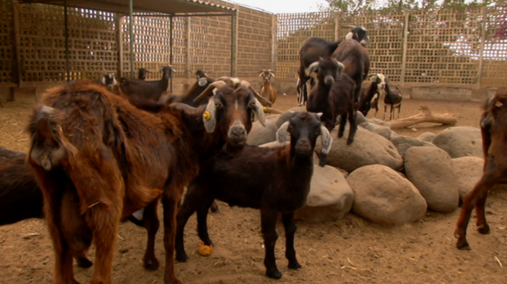 Aquí la Tierra - Aquí la Tierra - 21/07/19