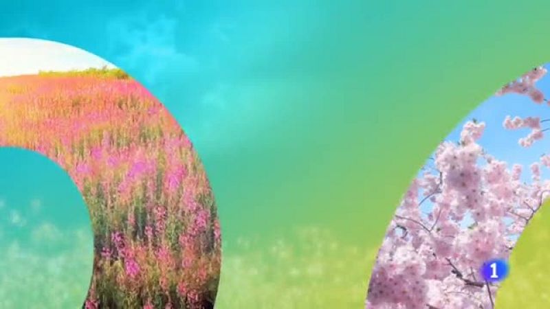 El tiempo en Galicia - 24/07/19