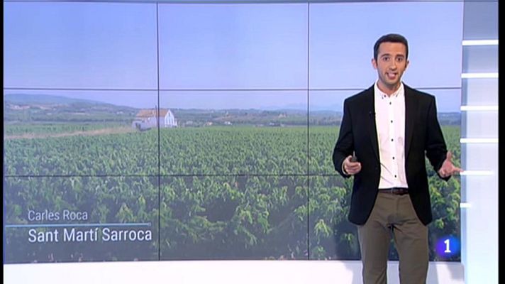 L'Informatiu - El Temps - 24/07/2019