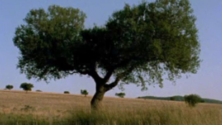 El arca de Noé (serie documental) - El encinar