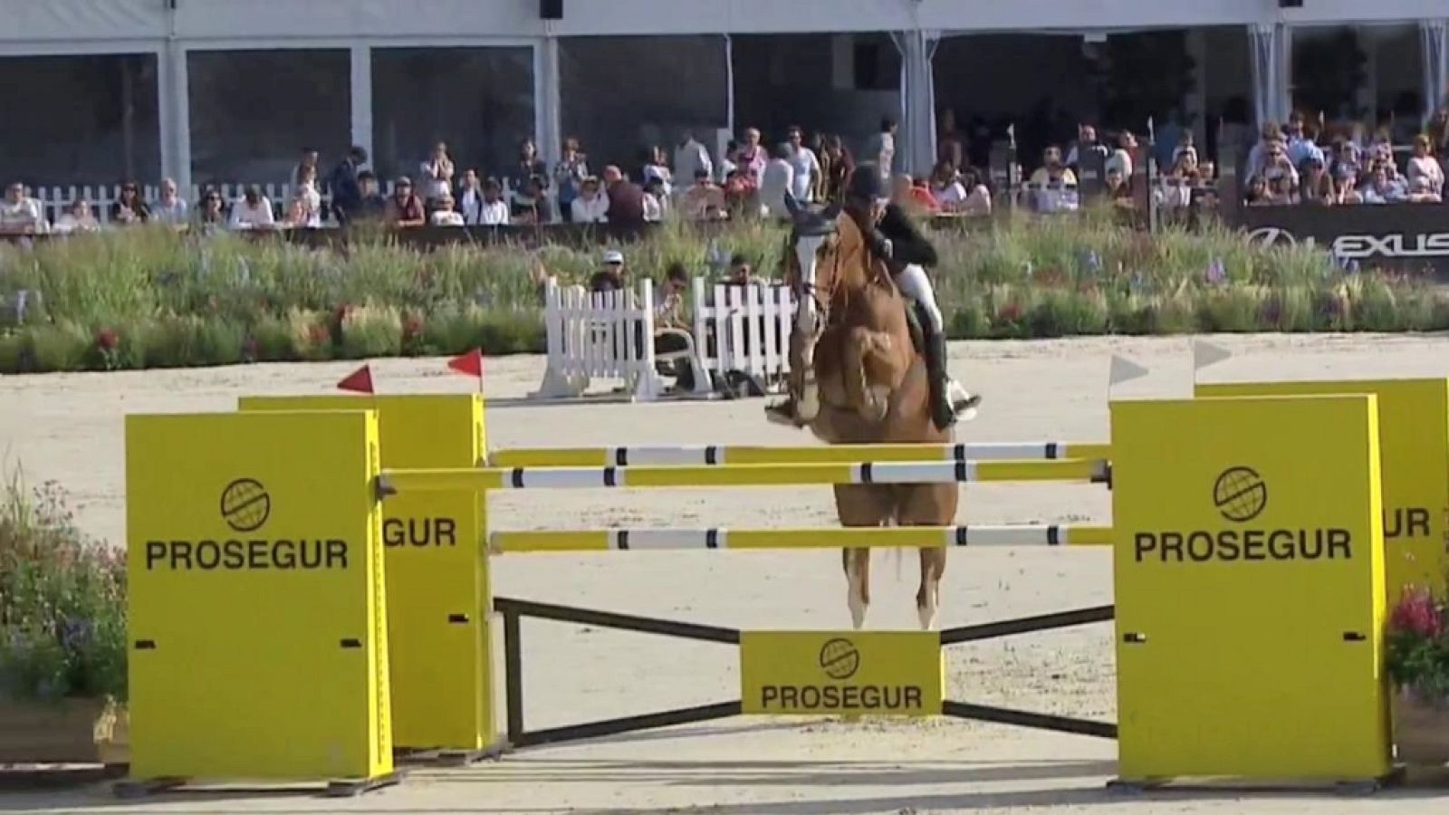 Hípica - Concurso de saltos CSI A Coruña 2019. GP Caixabank - ver ahora