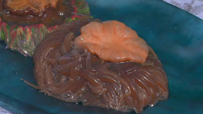 Aquí la Tierra - Qué son las anémonas