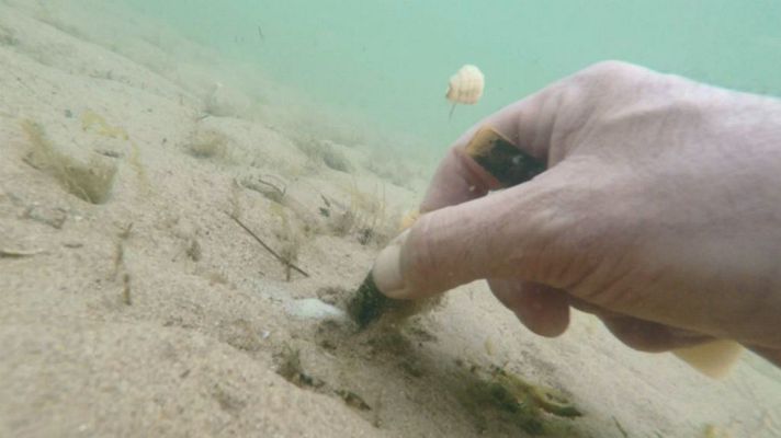 Aquí la Tierra - Los muergos, tesoros en Cantabria