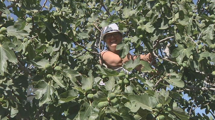 Aquí la Tierra - Heidi y la salsa de higos