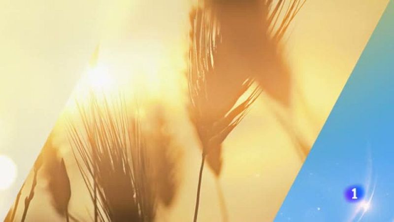 El tiempo en Cantabria - 31/07/19