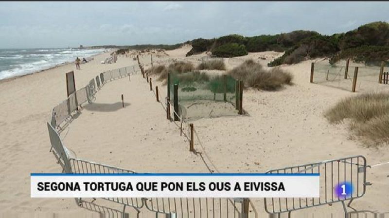 Informatiu Balear 2 - 31/07/19