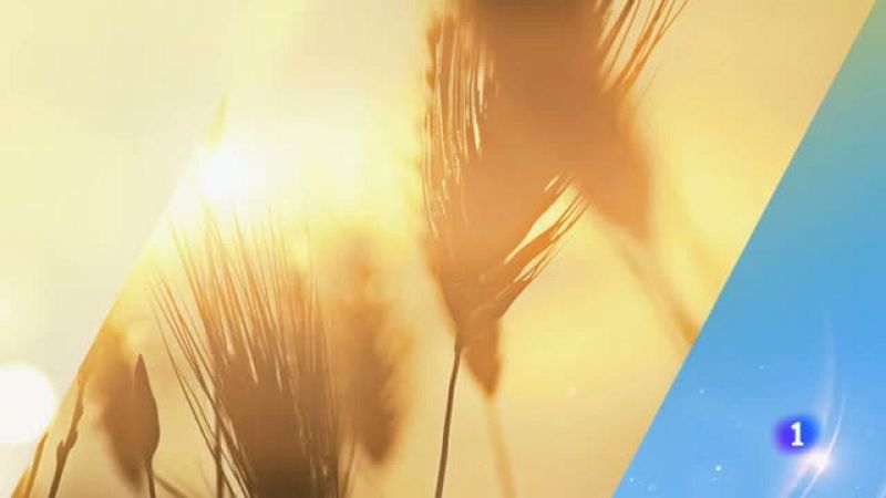 El tiempo en Cantabria - 1/08/19