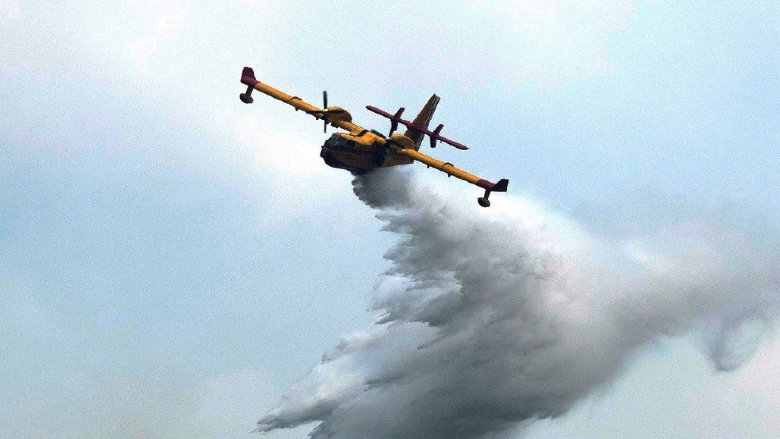 La Mañana - 01/08/19 - ver ahora