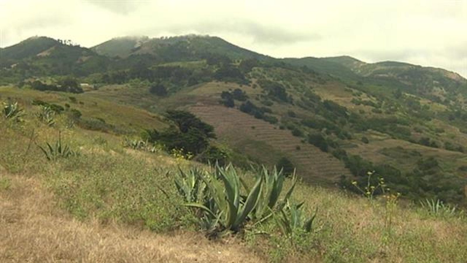 El tiempo en Canarias - 02/08/2019