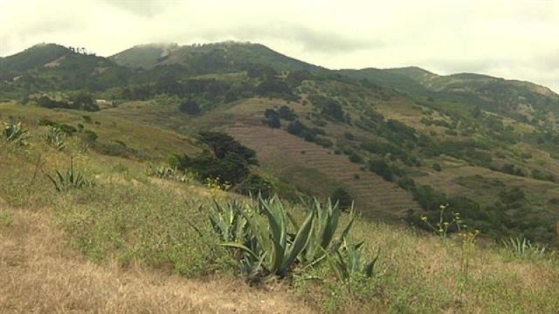 El tiempo en Canarias - 02/08/2019