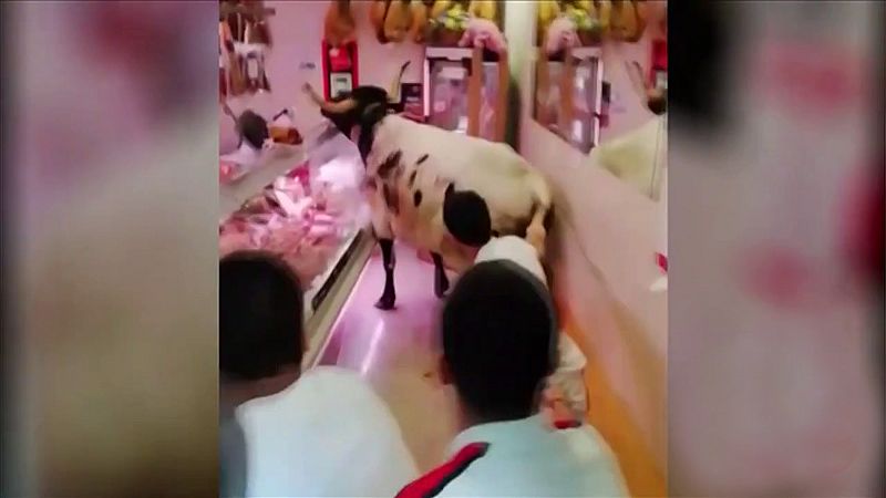Un cabestro se cuela en una carnicería en Estella - ver ahora