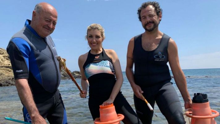 Aquí la Tierra - Ortigas de mar en Menorca