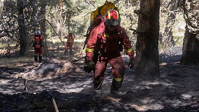 Los incendios de La Granja (Segovia) y Miraflores de la Sierra (Madrid) est�n estabilizados y podr�an darse por controlados en las pr�ximas horas, seg�n han asegurado fuentes de la Consejer�a de Medio Ambiente de Castilla y Le�n y de Emergencias Madr