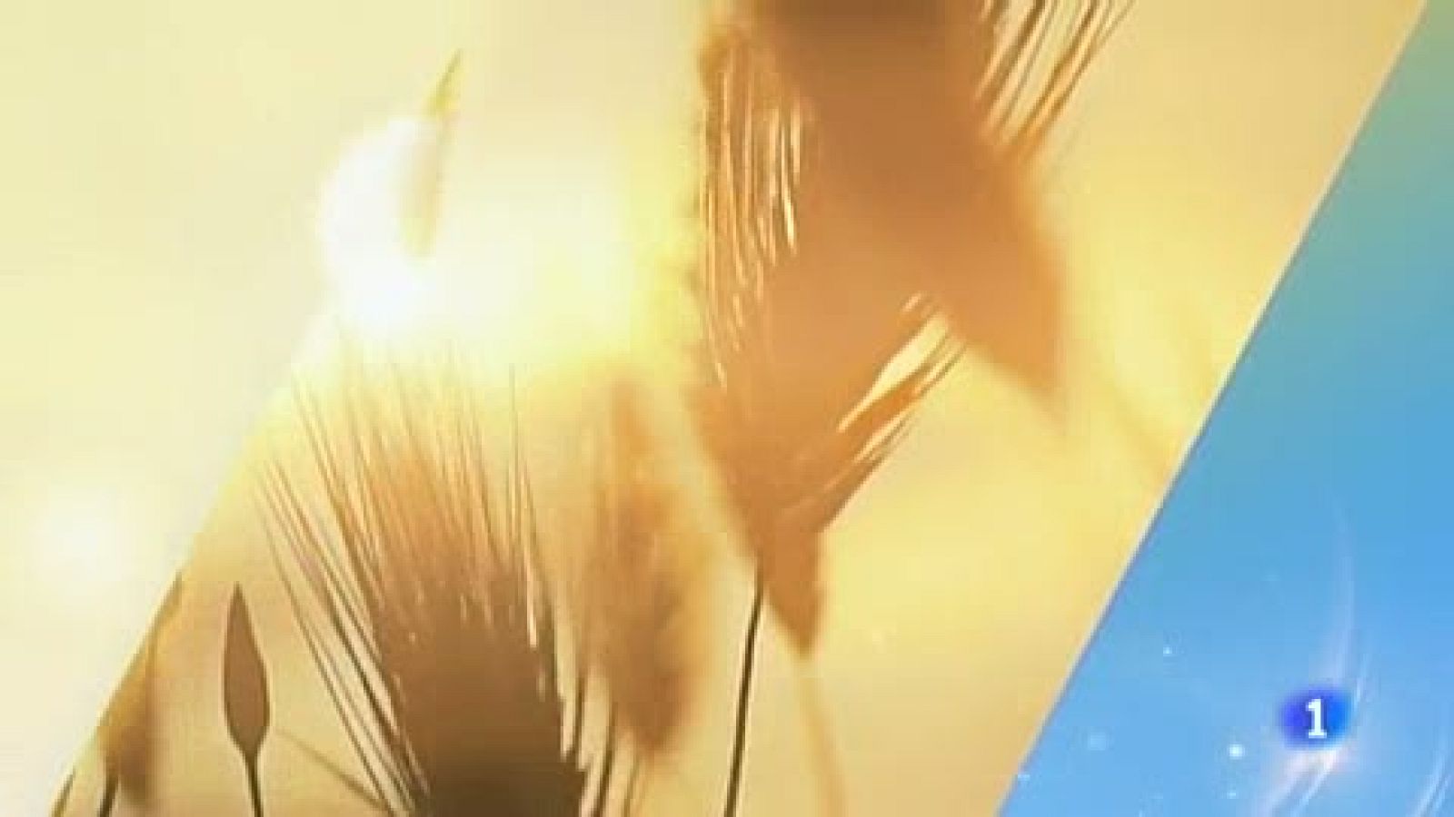 El Tiempo en el Pais Vasco  07/08/2019 | Ver