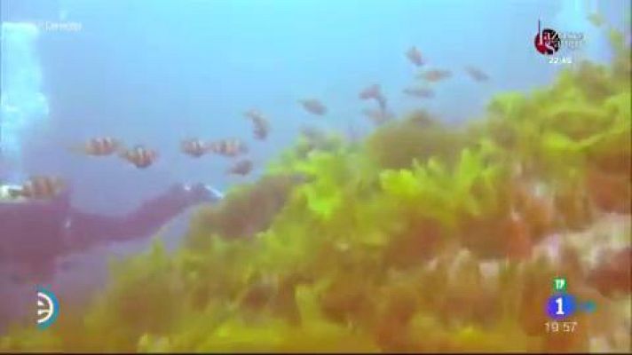 España Directo - Camino de Santiagua