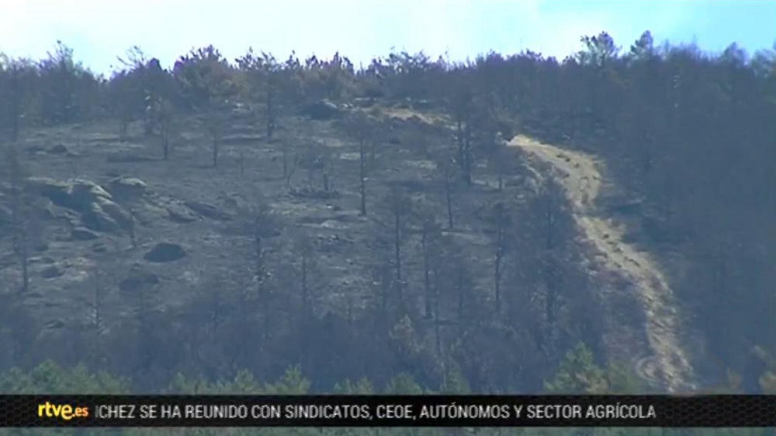 España en 24 horas - 08/08/19 - ver ahora
