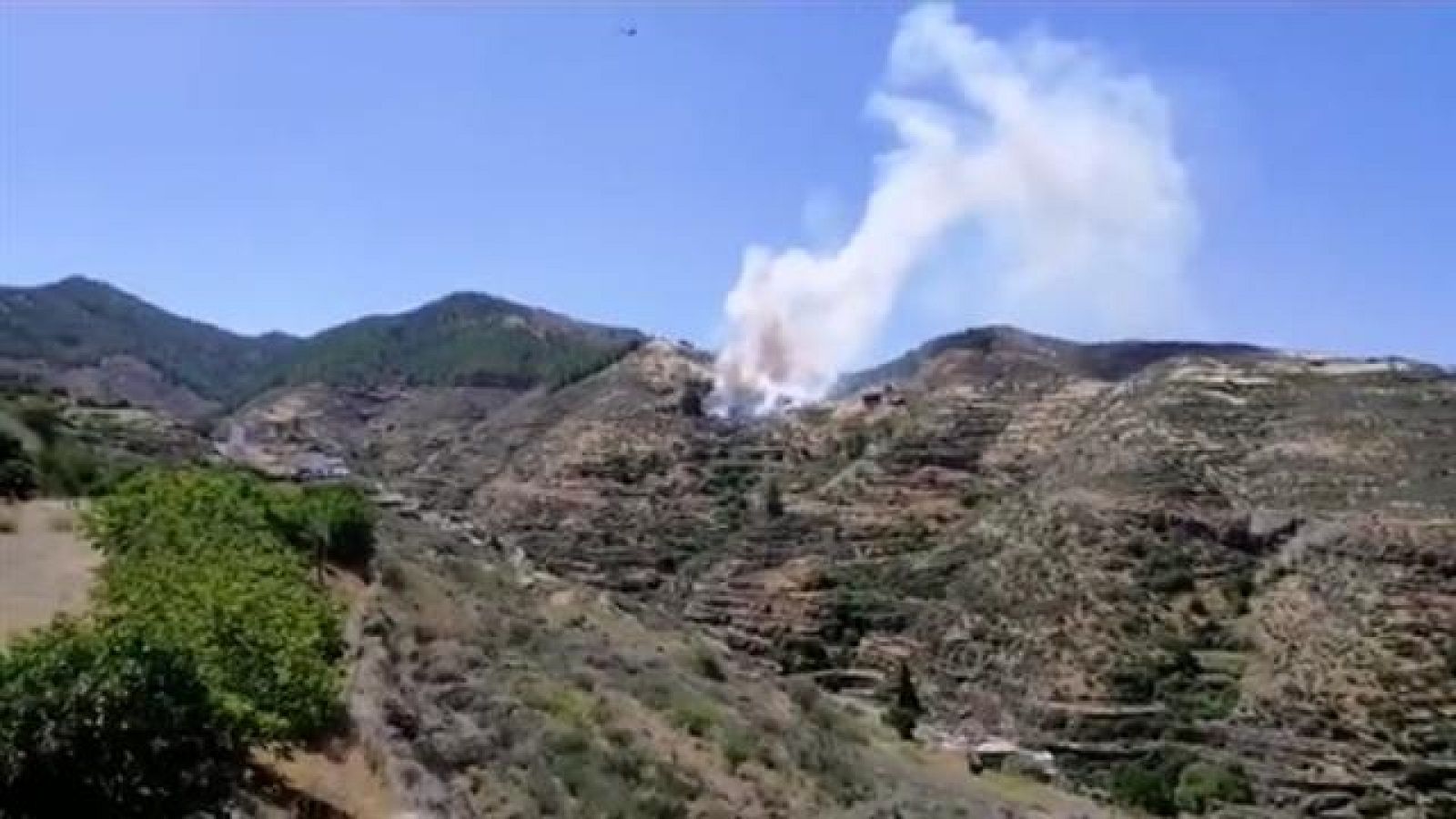 Telecanarias - 10/08/2019