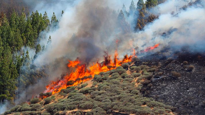Telediario 1 - Telediario matinal en 4'- 11/08/19