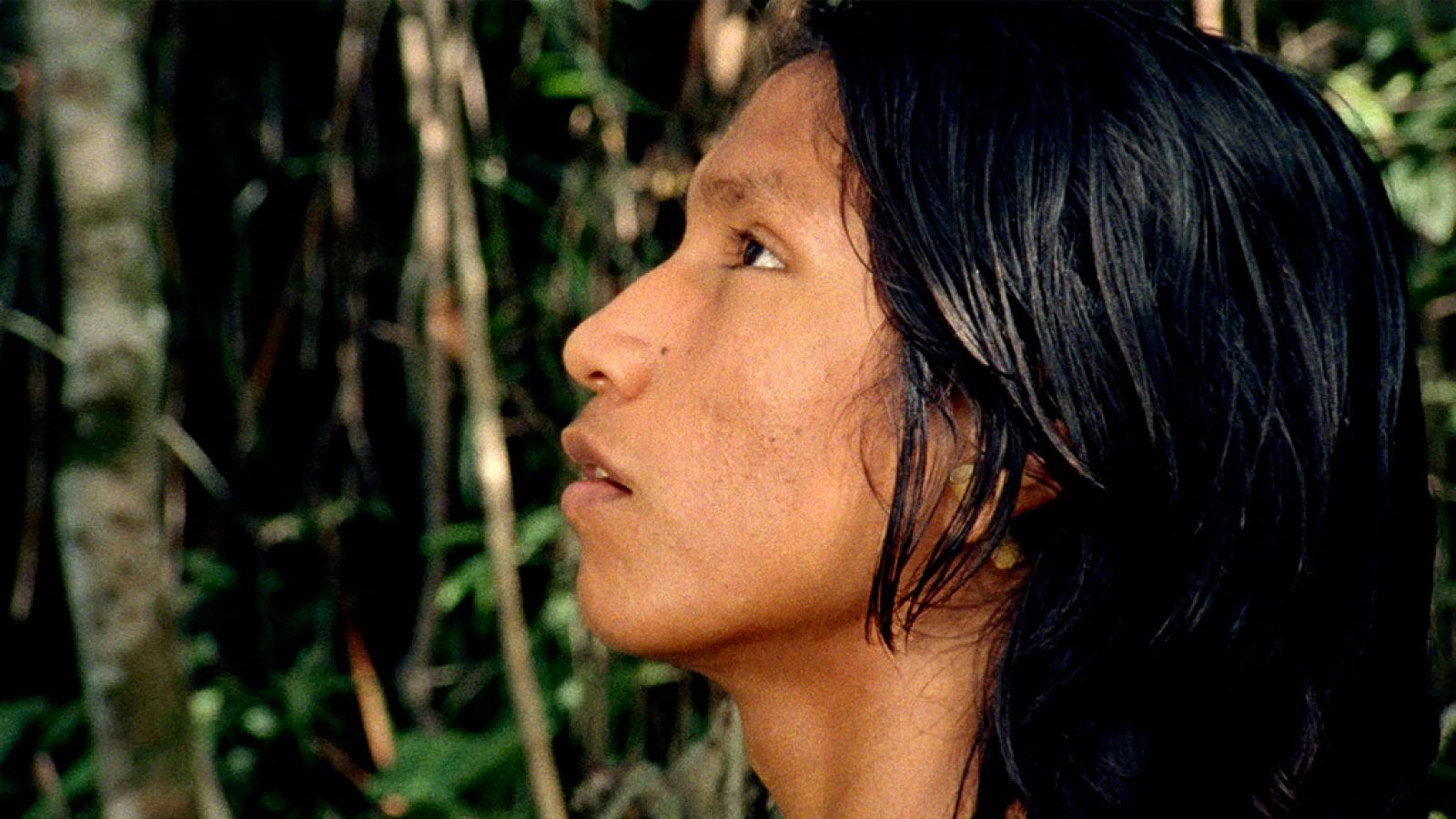 'El canto de la selva'