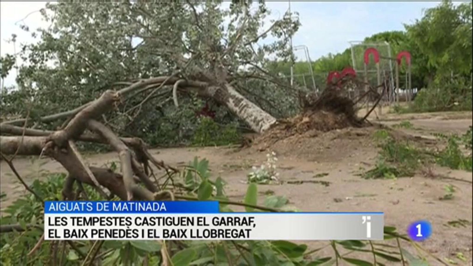 L'Informatiu en 3' - 12/08/2019