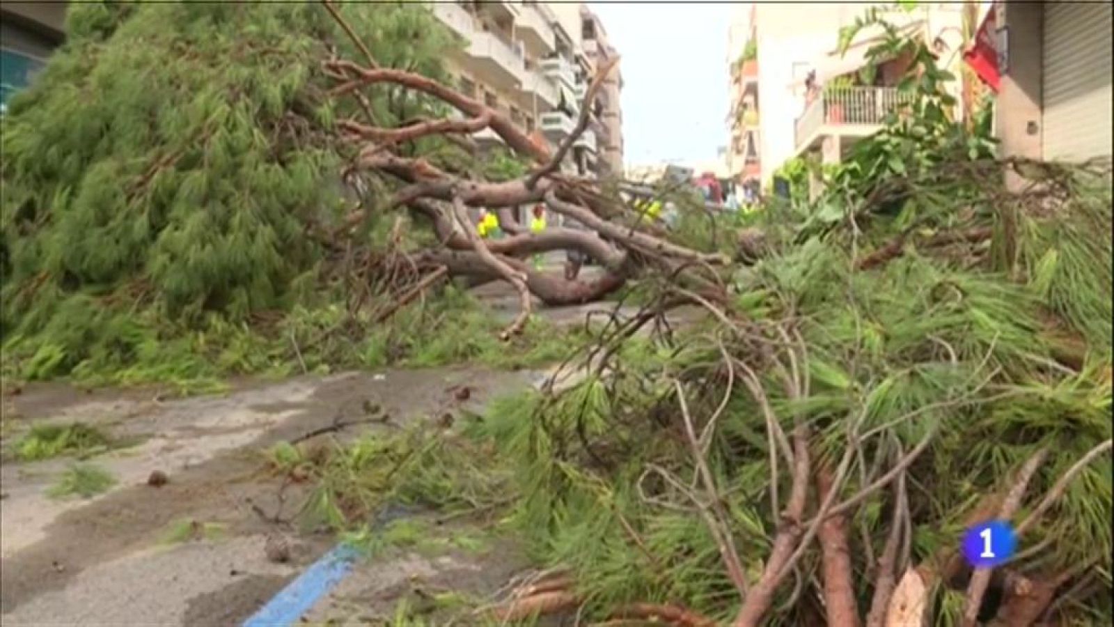 L'Informatiu - 12/08/2019