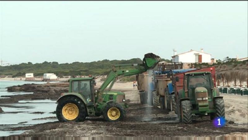 Informatiu Balear en 2' - 12/08/19