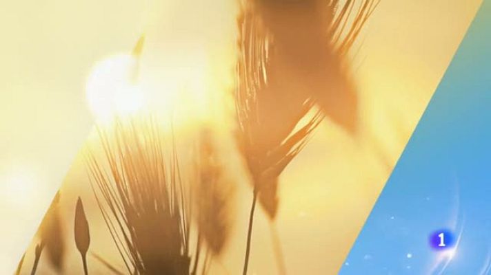 TeleCantabria - El tiempo en Cantabria - 12/08/19