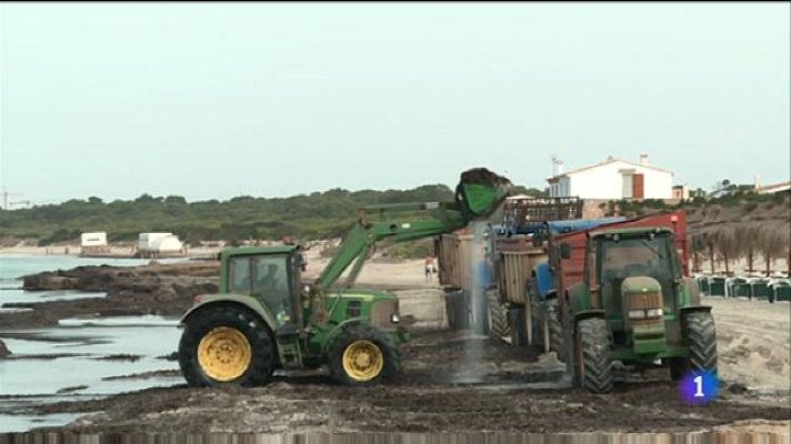 Informatiu Balear - Informatiu Balear - 12/08/19