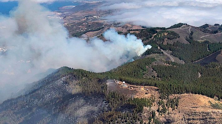 Telediario 1 - El incendio de Gran Canaria sigue sin control y afecta ya a 1.500 hectáreas