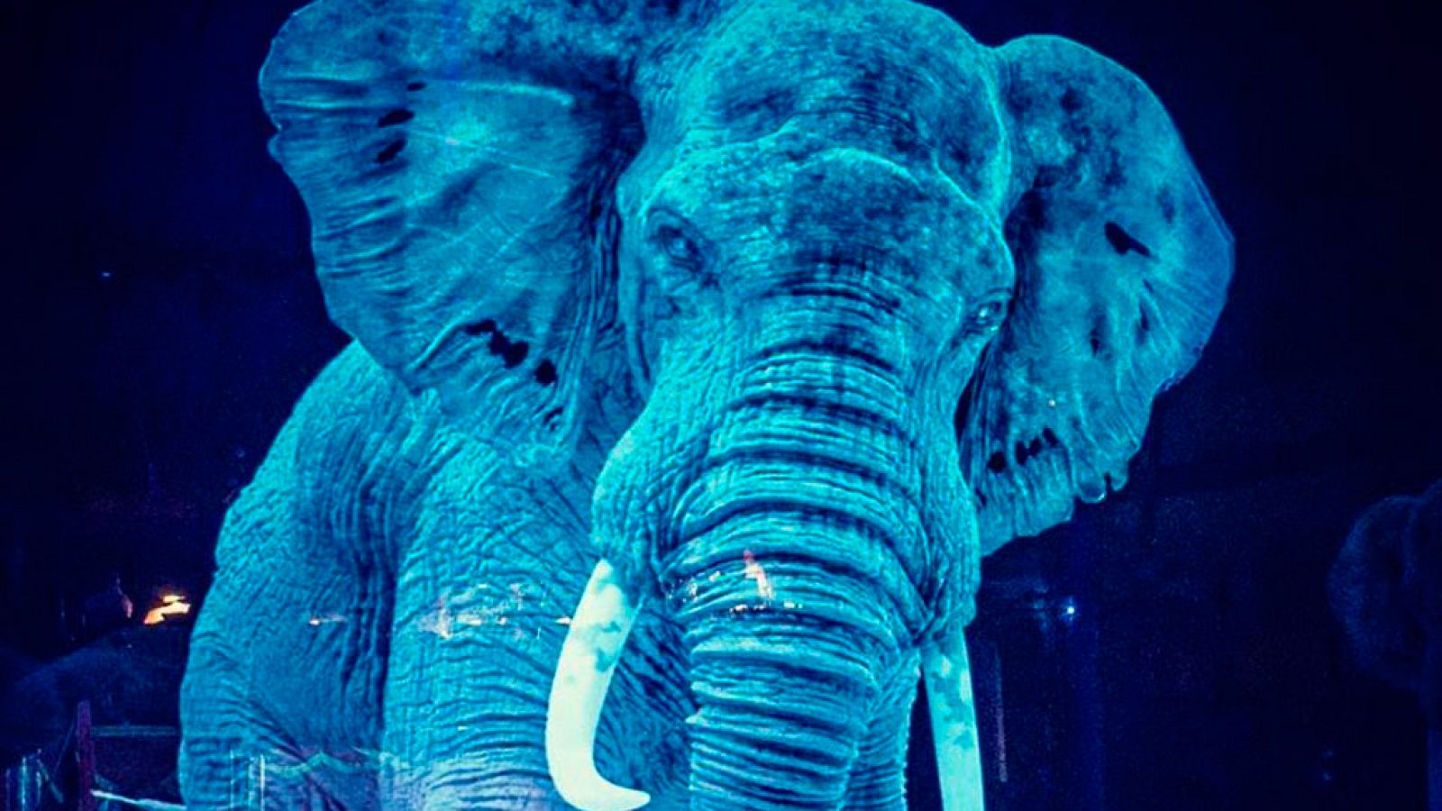 Un circo alemán reemplaza a los animales por hologramas