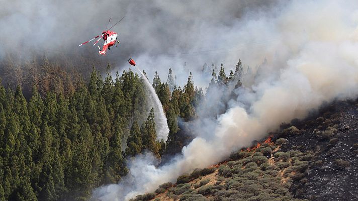 Telediario 1 - Telediario 1 en 4' - 12/08/19