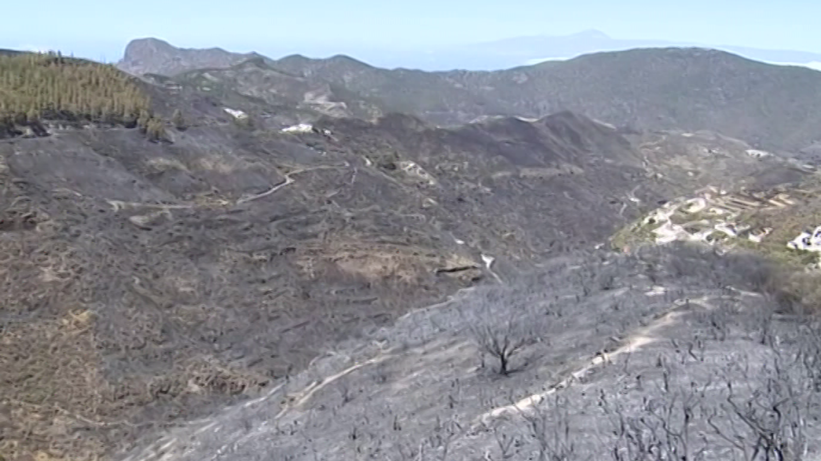 España Directo - 12/08/19 - ver ahora