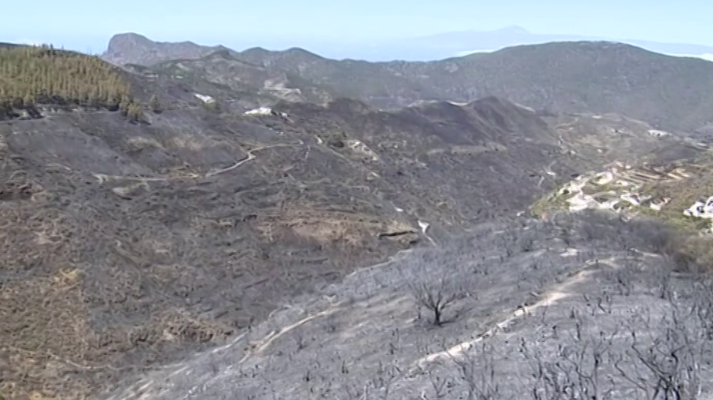 España Directo - España Directo - 12/08/19