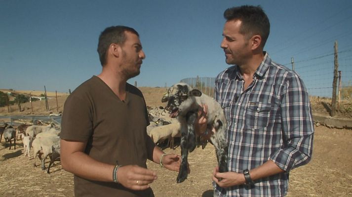 Aquí la Tierra - Aquí la tierra - 12/08/19