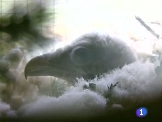 Noticias Aragón - Noticias Aragón - 02/07/09