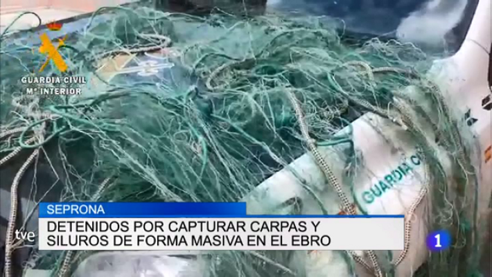 Informativo Telerioja - Informativo Telerioja - 13/08/19