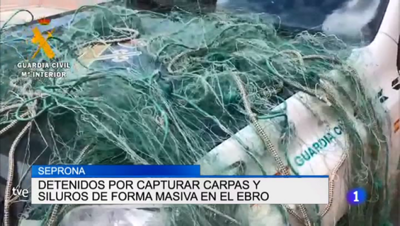 Telerioja en 2' - 13/08/19