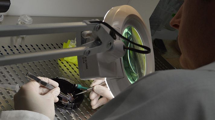 Documentos TV - Los doctores del gen - Avance