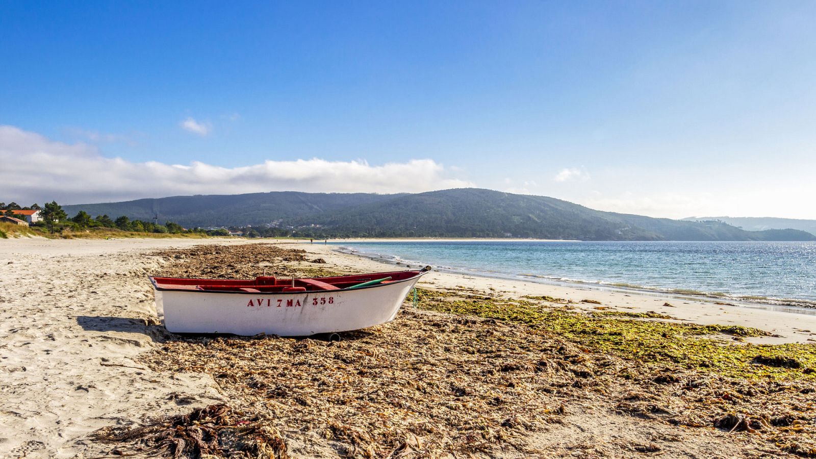 Mayor parte del país se espera predominio de cielos poco nubosos o despejados - ver ahora