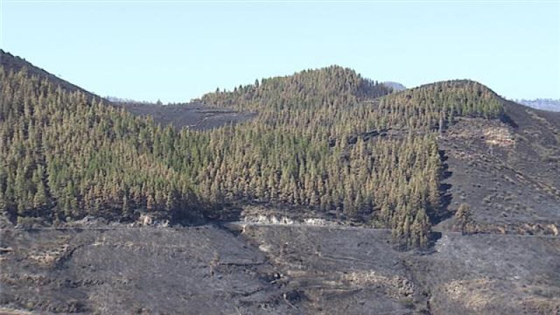 Canarias en 2' - 14/08/2019