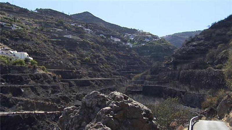 Telecanarias - 14/08/2019