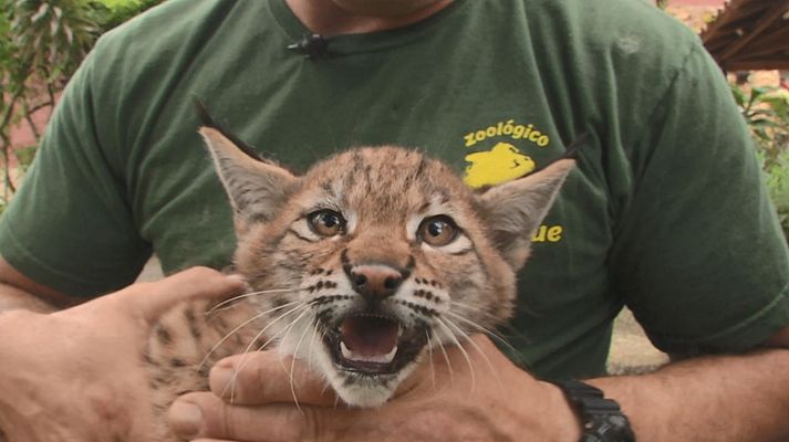 Aquí la Tierra - Aquí la Tierra - 14/08/19